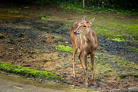 12 June 27 - Baewan Island