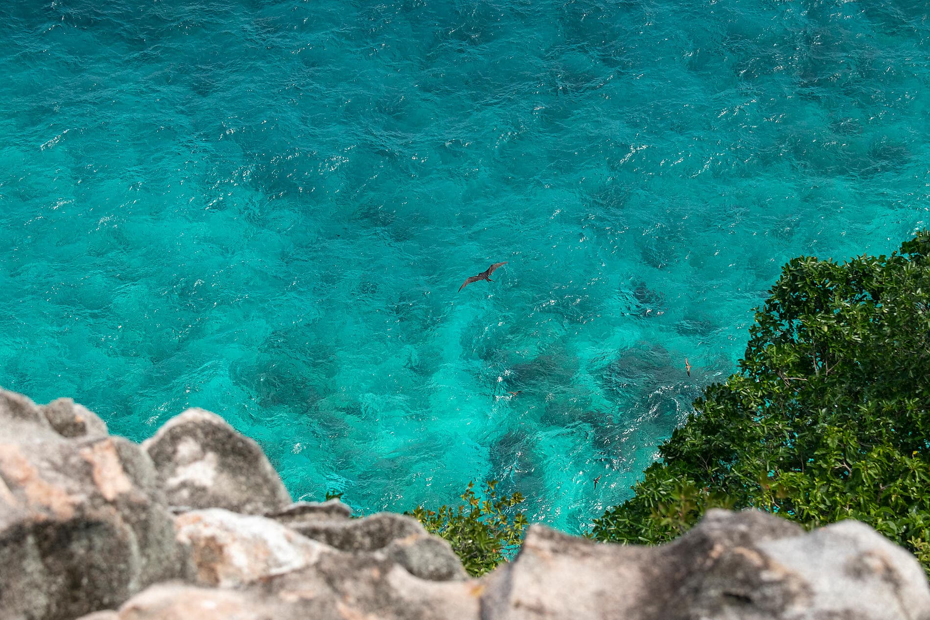 The essential Seychelles