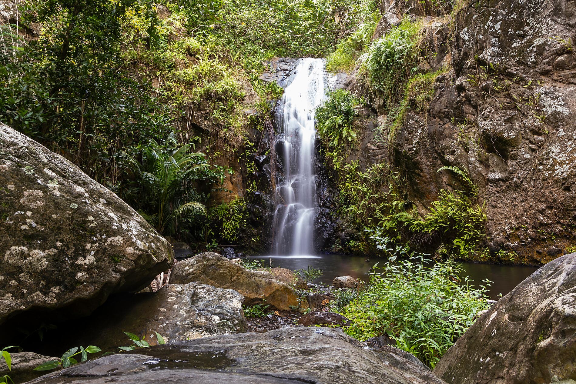 Polynesian Bliss : Marquesas and Tuamotu 