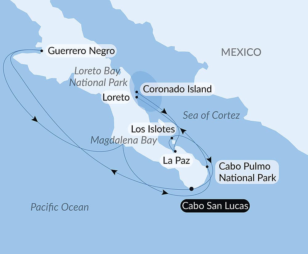 Baja and the Sea of Cortez: In Search of the Great Whales – with Smithsonian Journeys