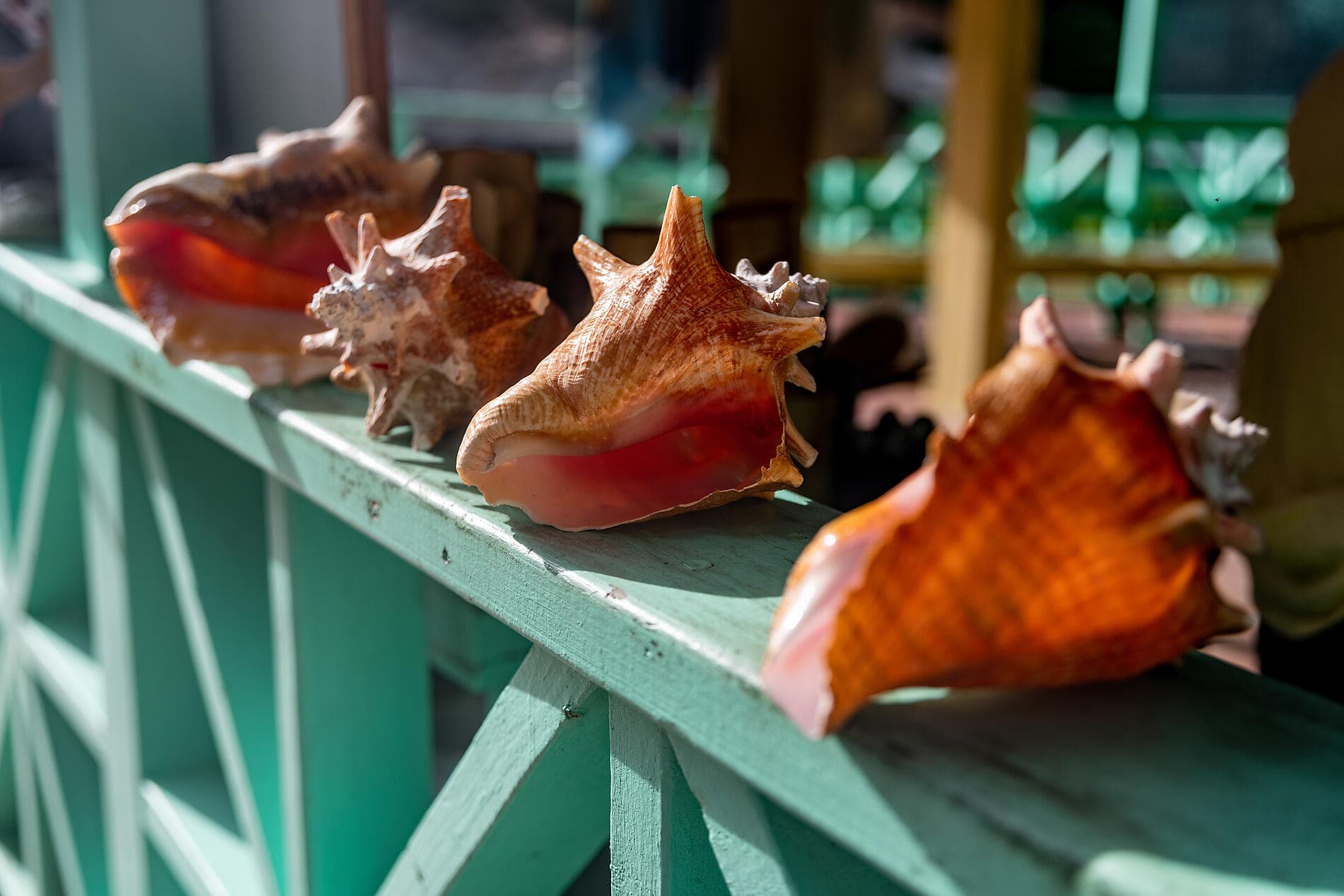 Secret treasures of the Lesser Antilles 