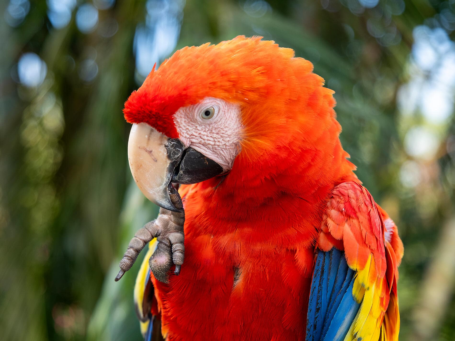 Panama, Colombia & Caribbean Islands 