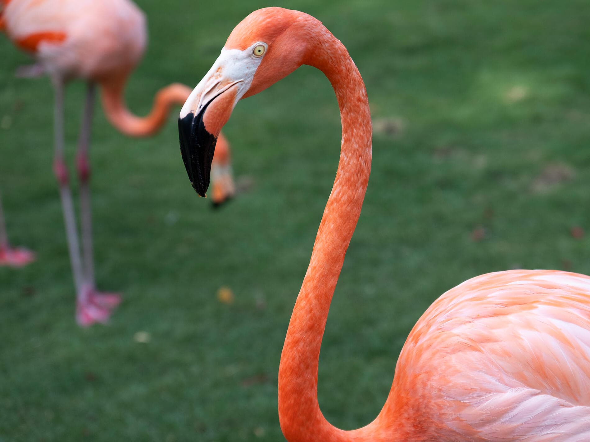 Panama, Colombia & Caribbean Islands 