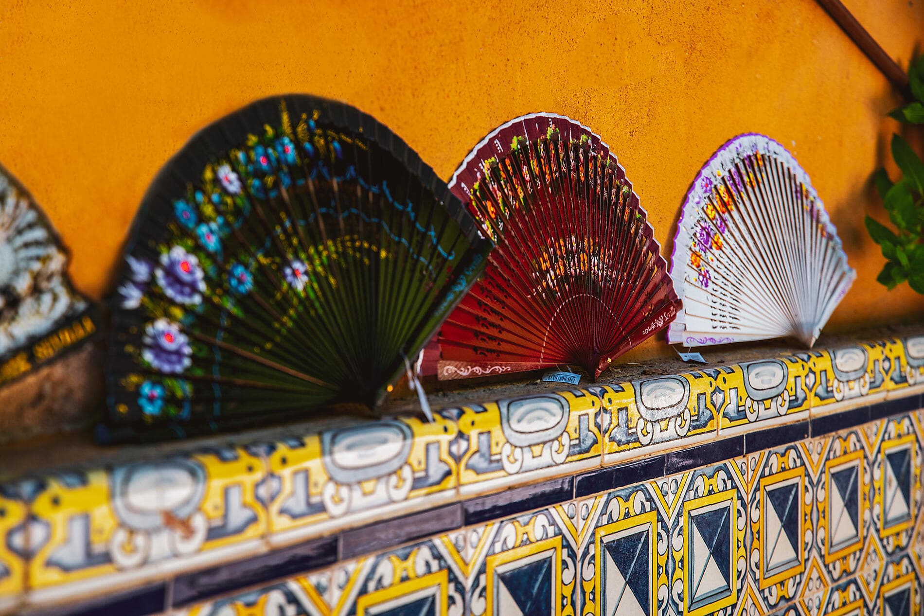 Andalusia and Moroccan shores  