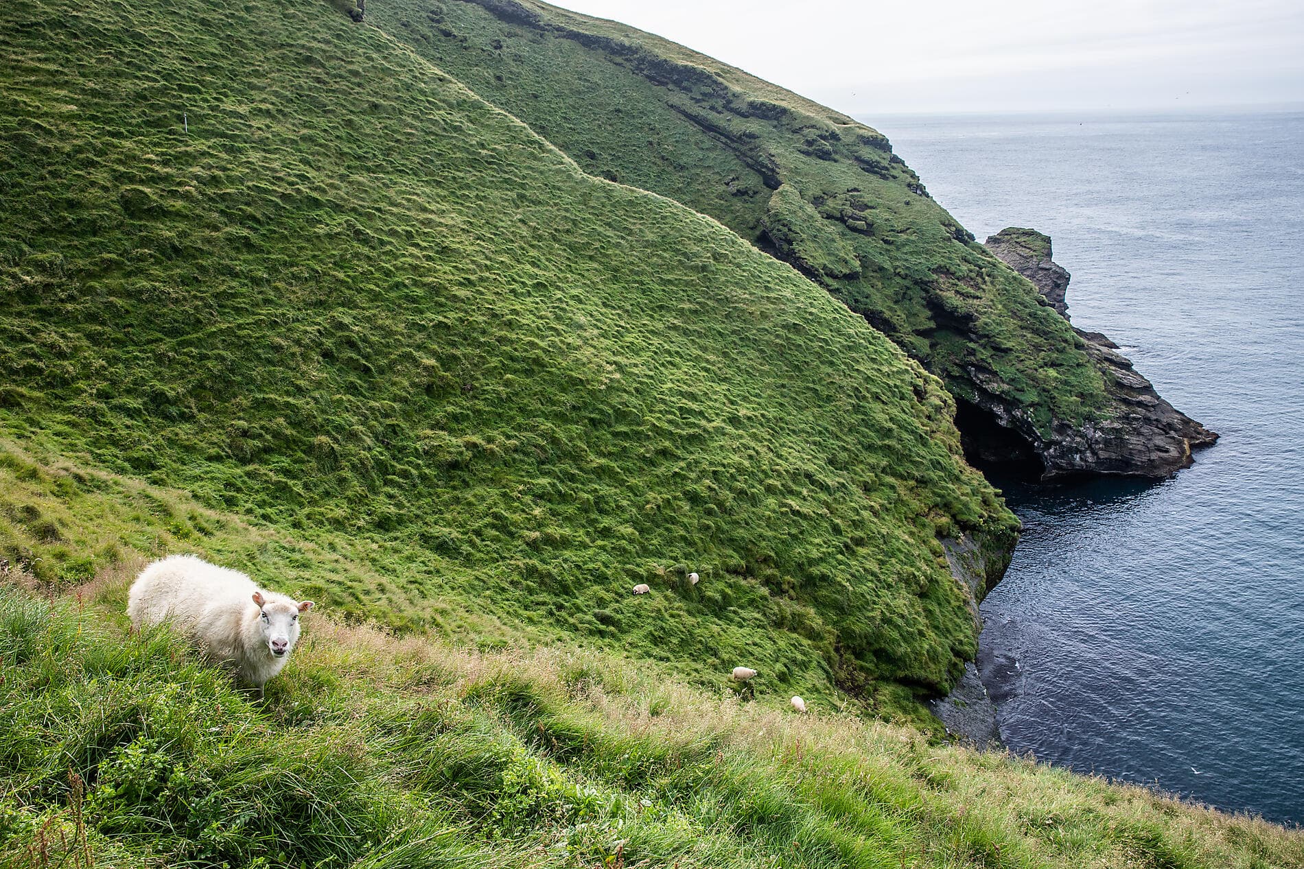 Beethoven's Icelandic Symphony: A Musical Voyage 