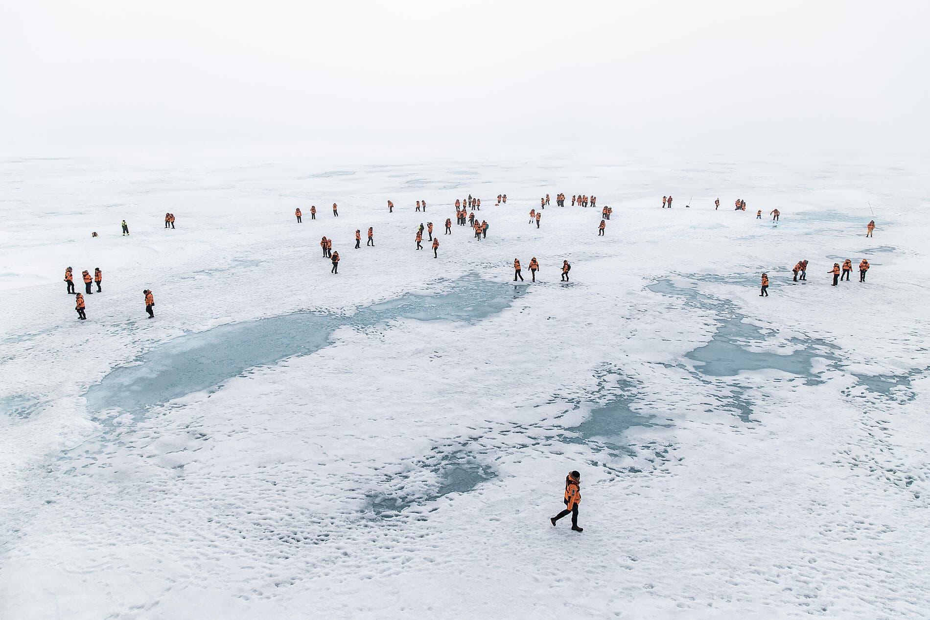 The Geographic North Pole 