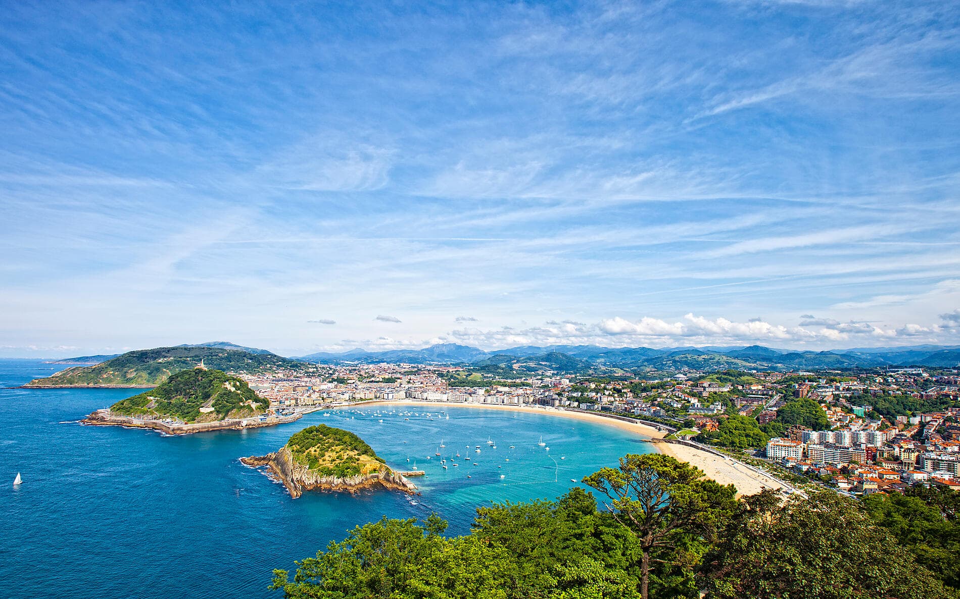 Gastronomy, Vineyards & Grands Crus 