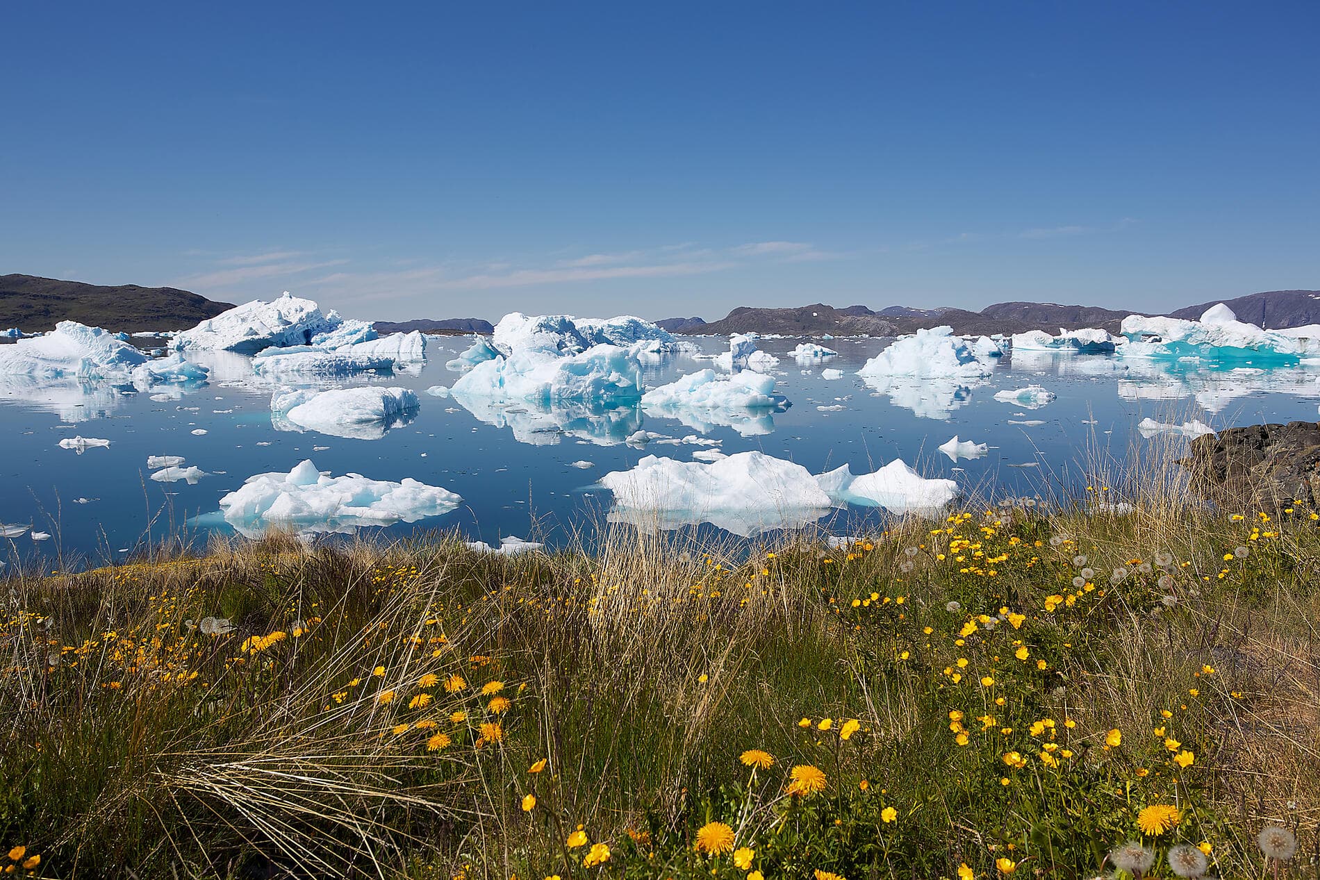 Expedition to the edge of the Ice Sheet 