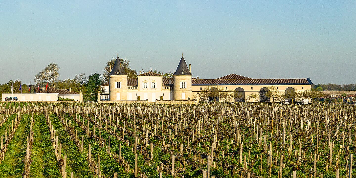 Gastronomy, Vineyards & Grands Crus 