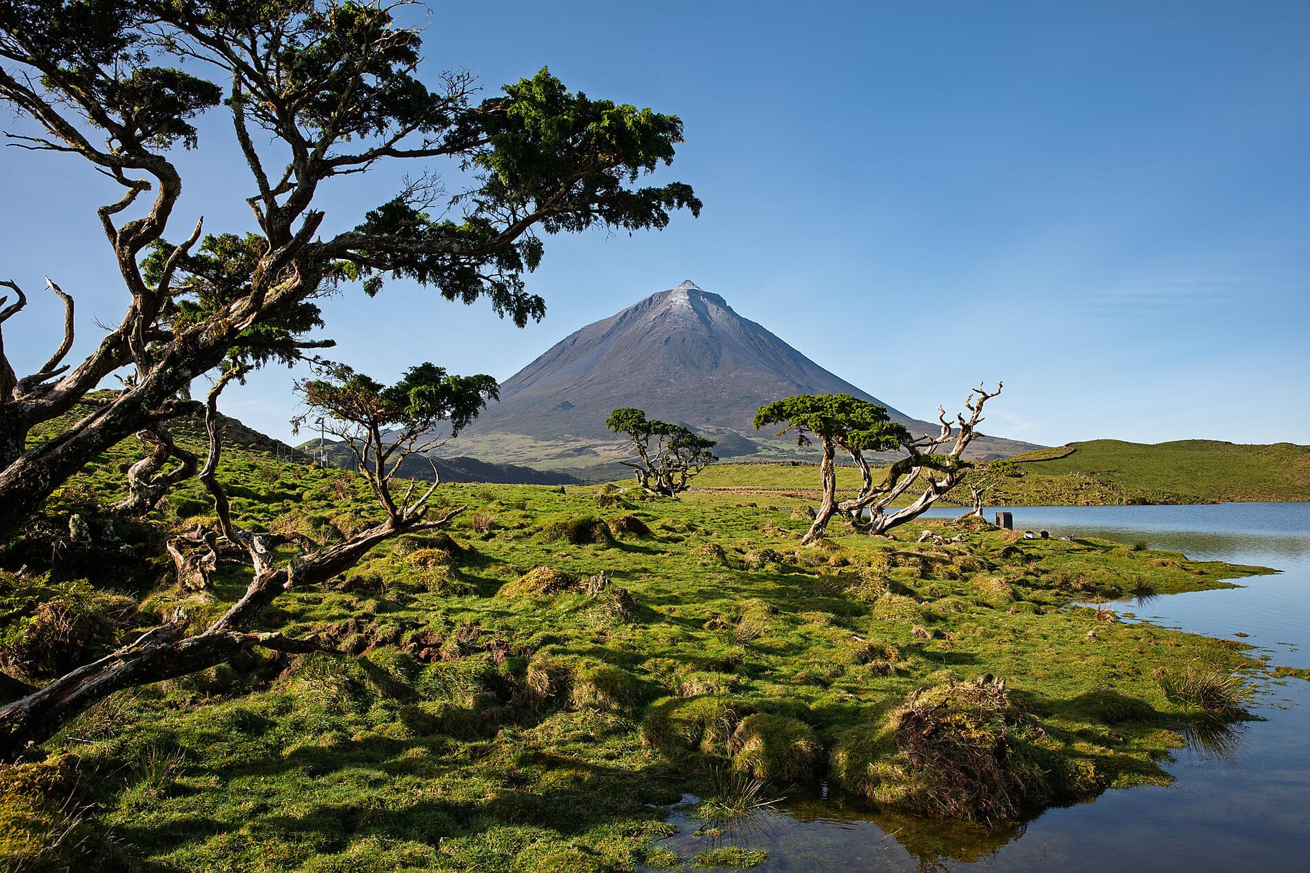 The Essential Azores 