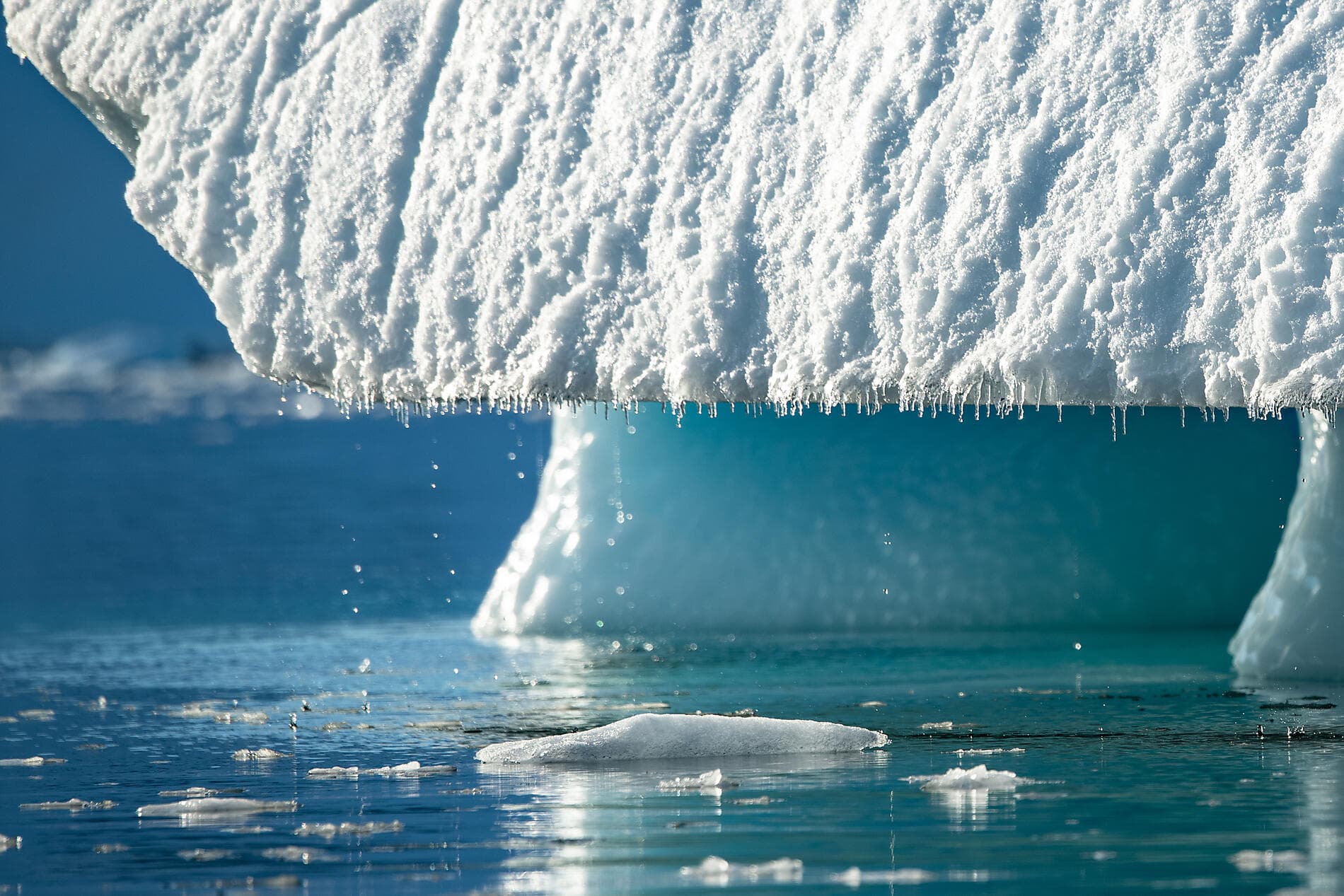 Emblematic Antarctica 