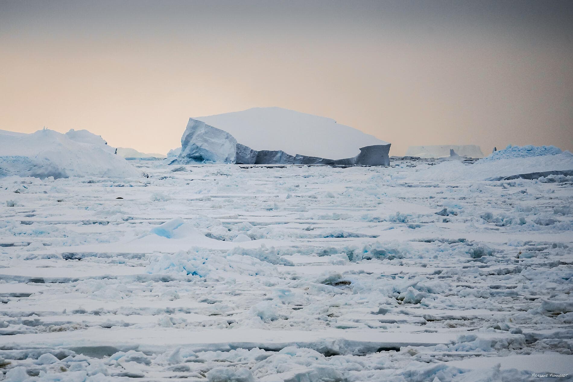 Entre deux continents, terres inexplorées occidentales d'Antarctique 