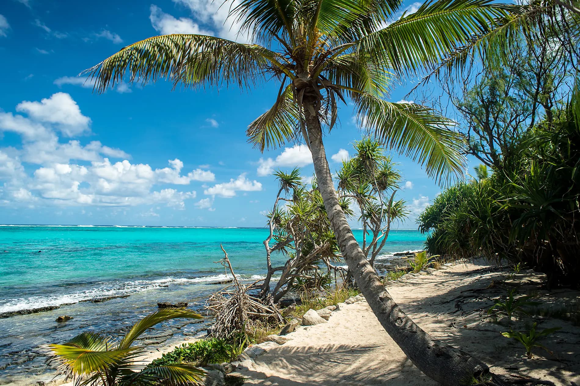 Little-known treasures of Melanesia 