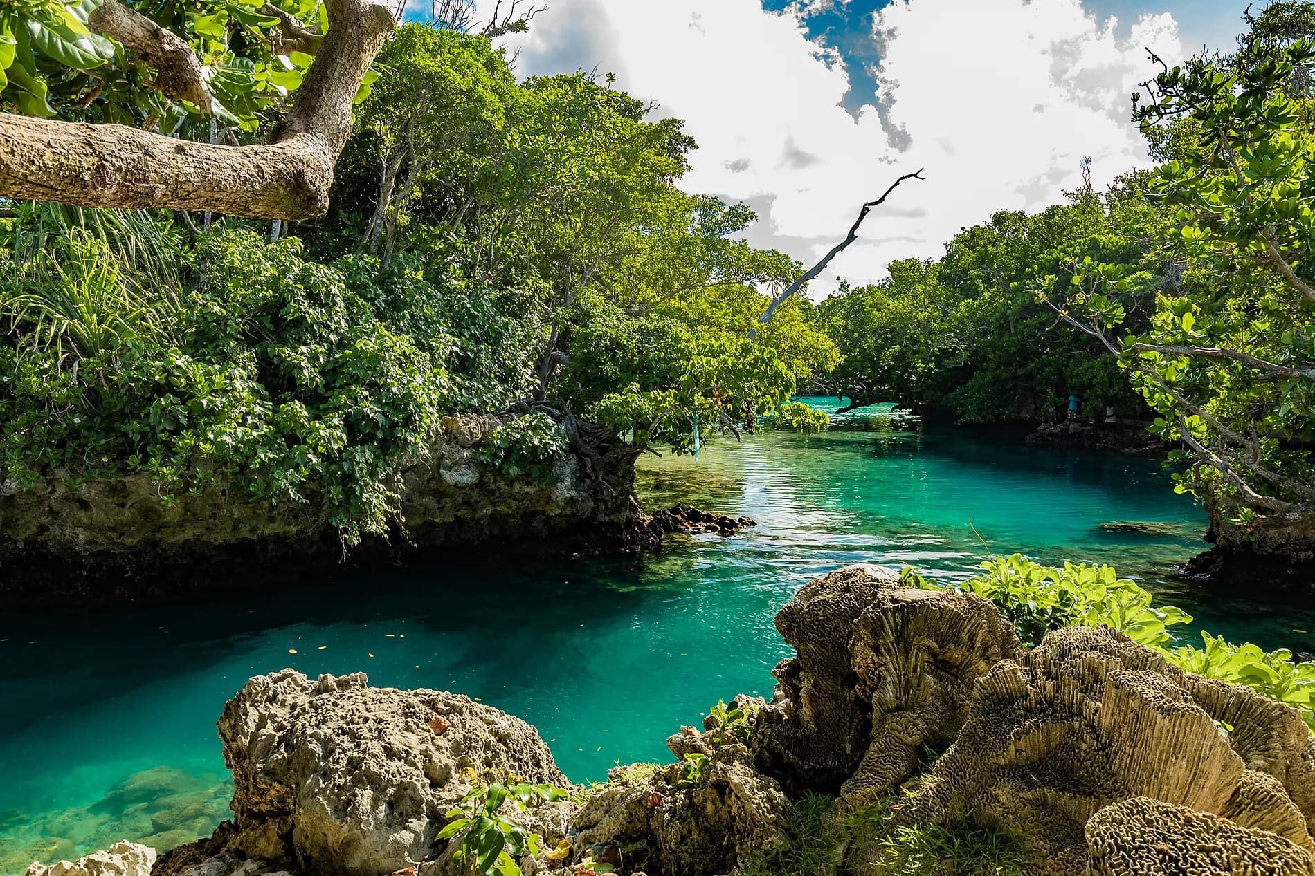 Little-known treasures of Melanesia 