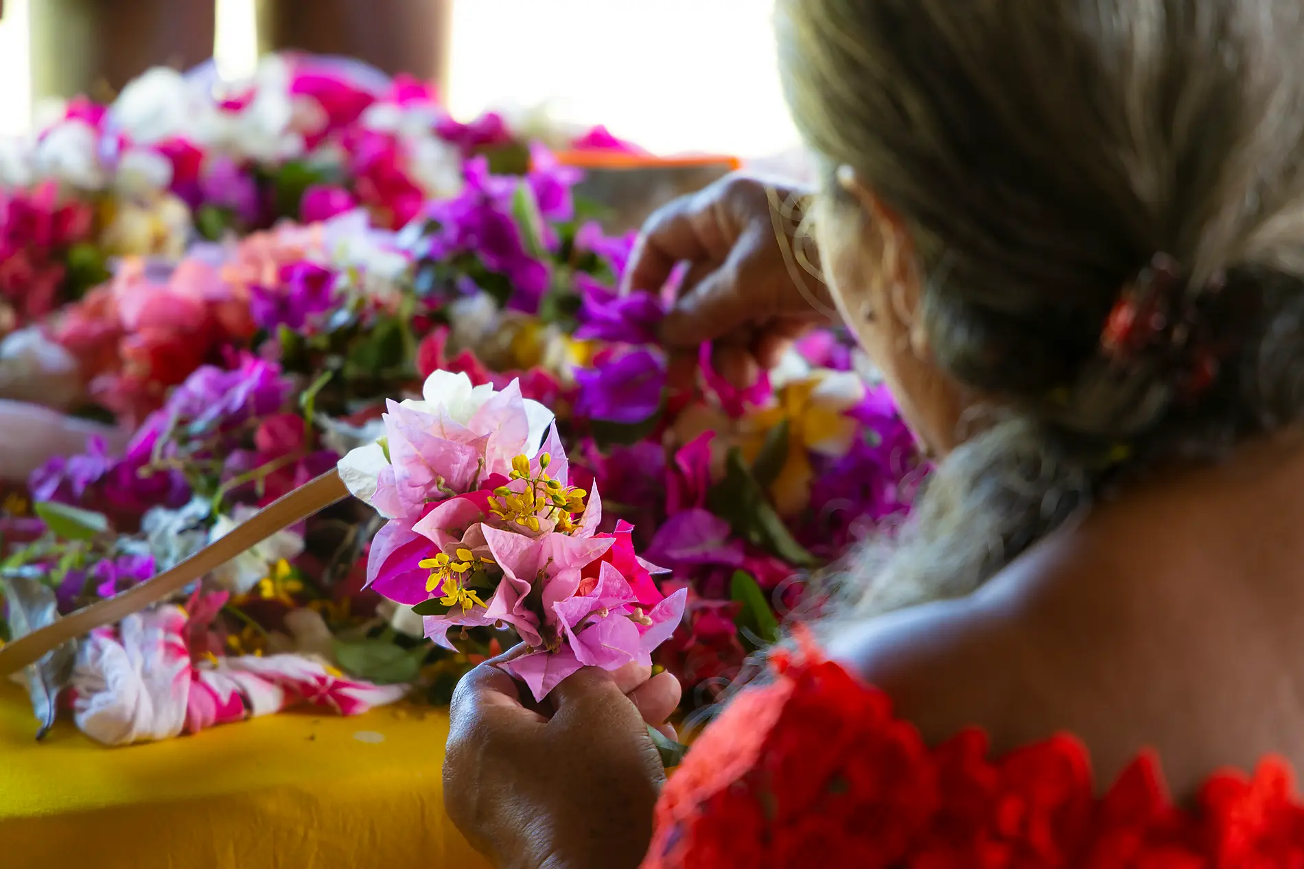 Fiji, Tonga, Cook Islands and Society Islands 
