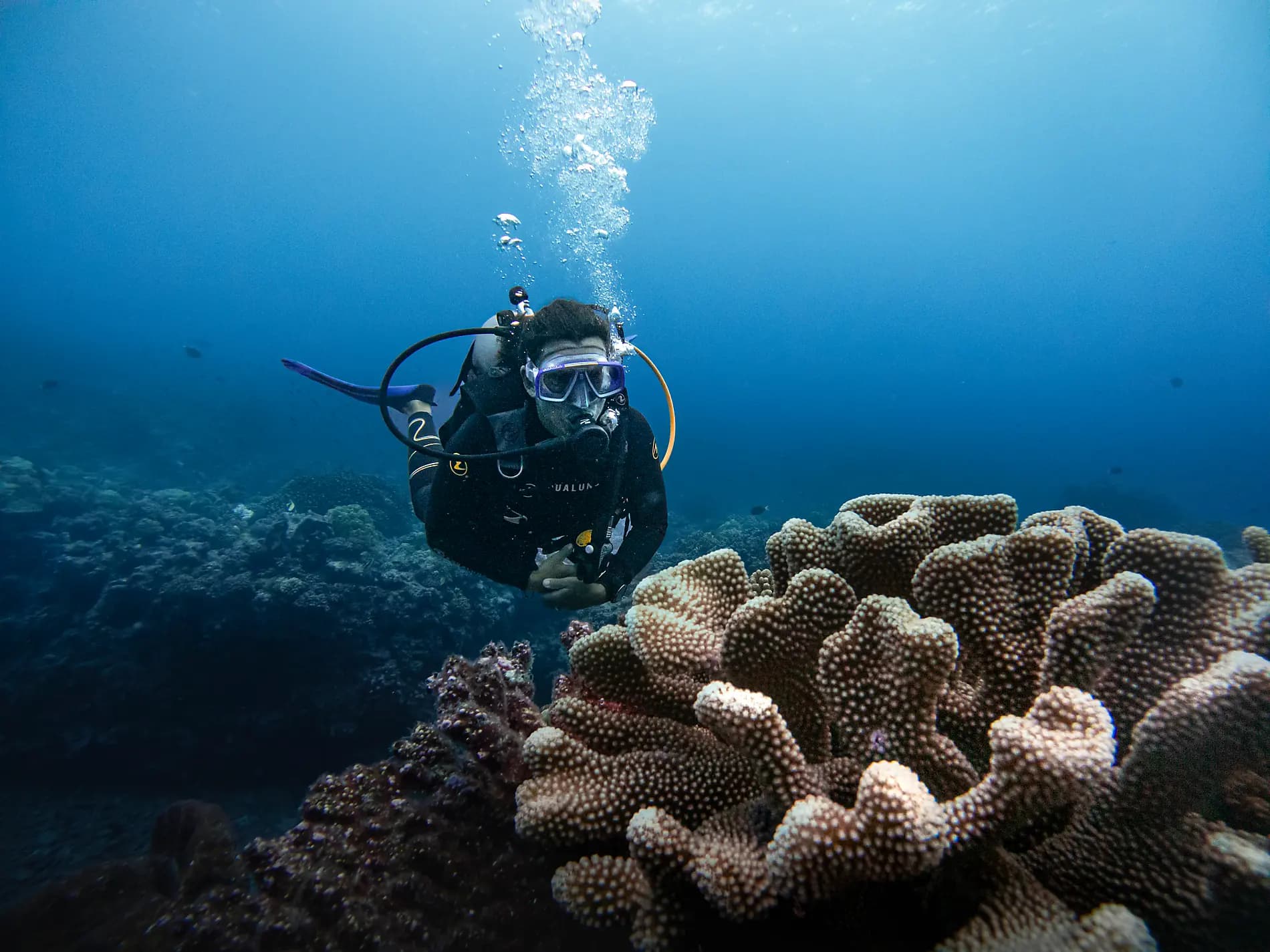 Fiji, Tonga, Cook Islands and Society Islands 
