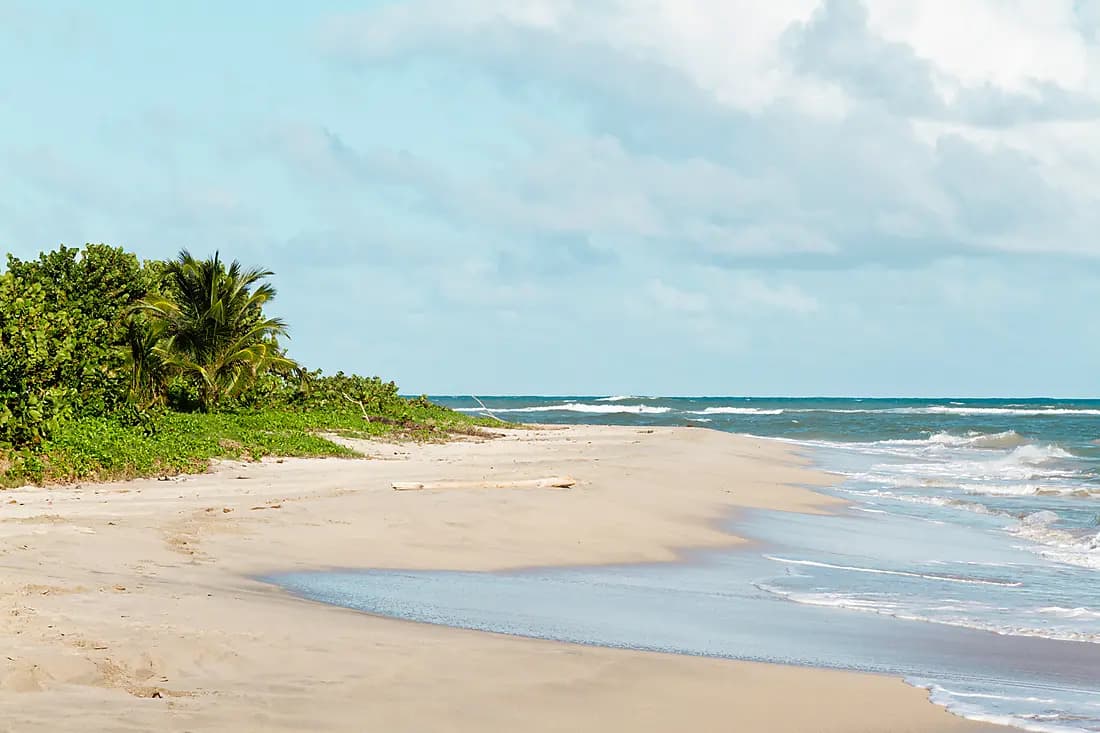 Tropical Escape: Nature and Culinary Delights from Vieux Fort to Soufrière