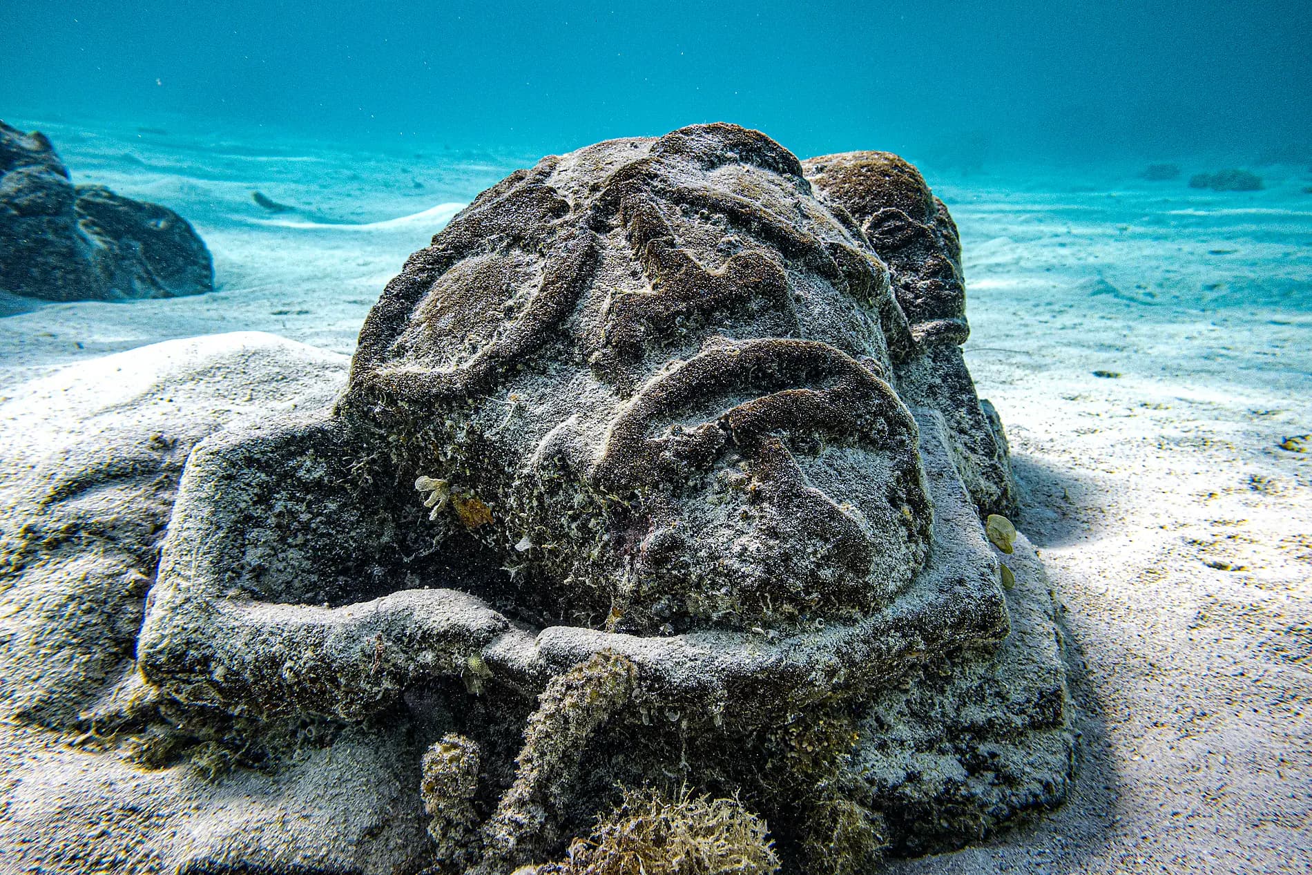 Society Islands & The Tuamotus 