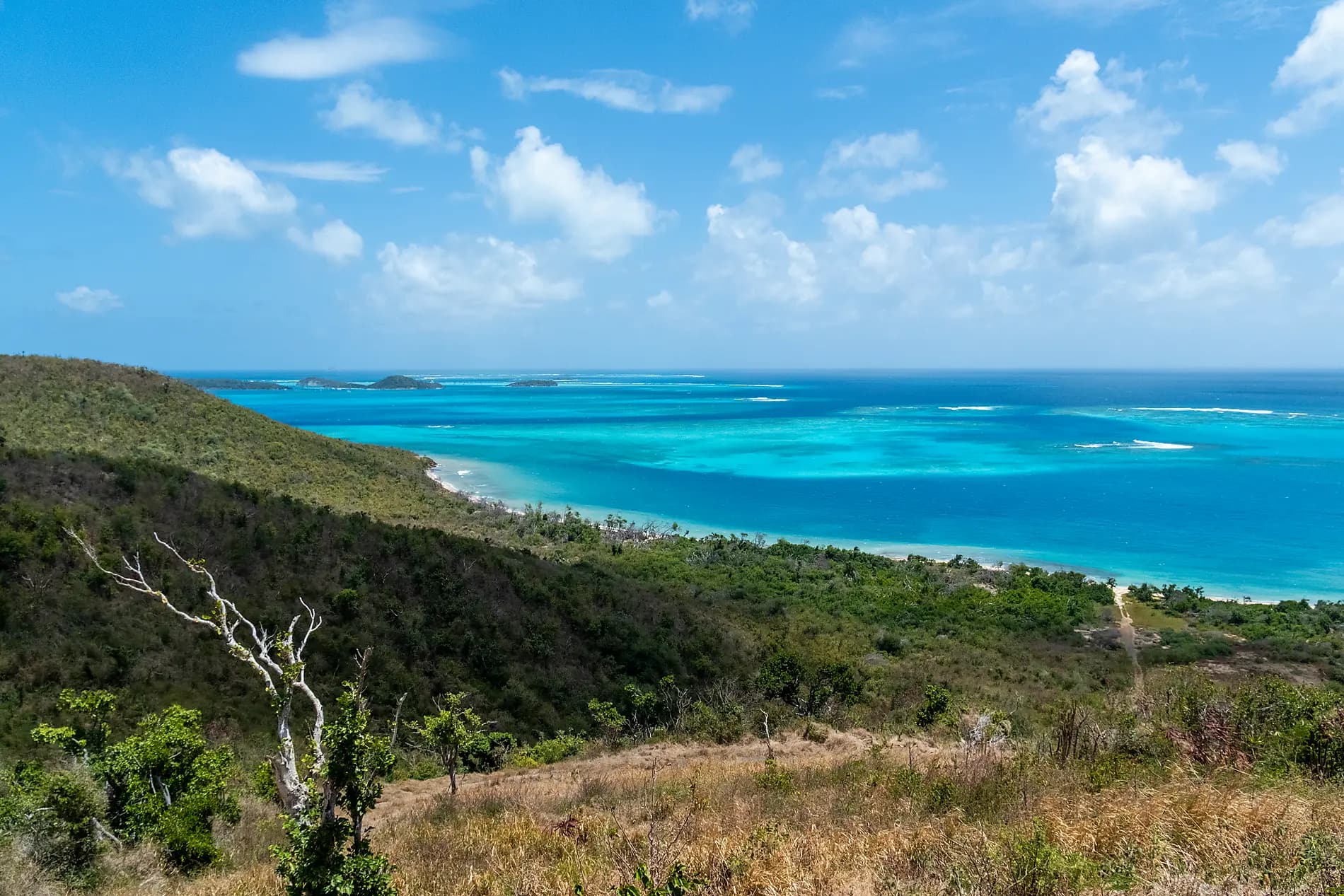 Panama, Colombia & Caribbean Islands 
