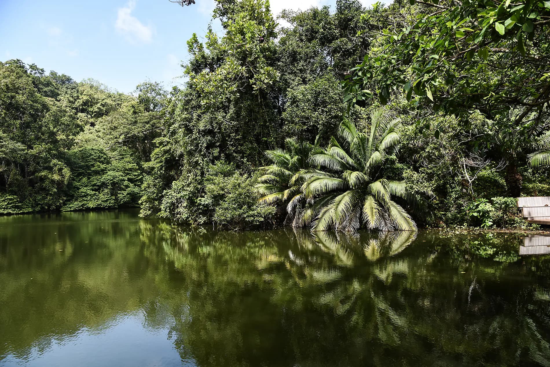 Secrets of Central America 
