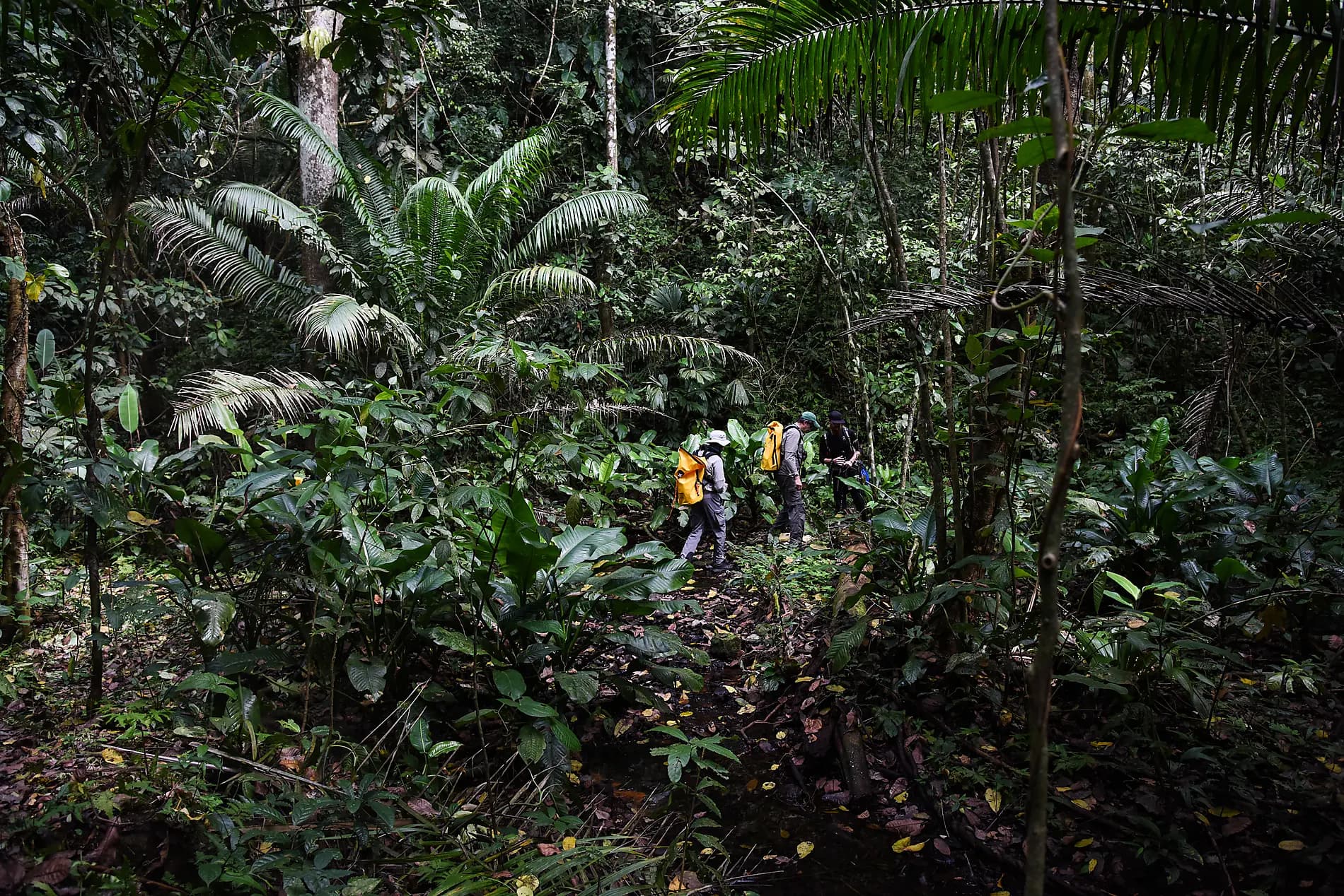 Secrets of Central America 