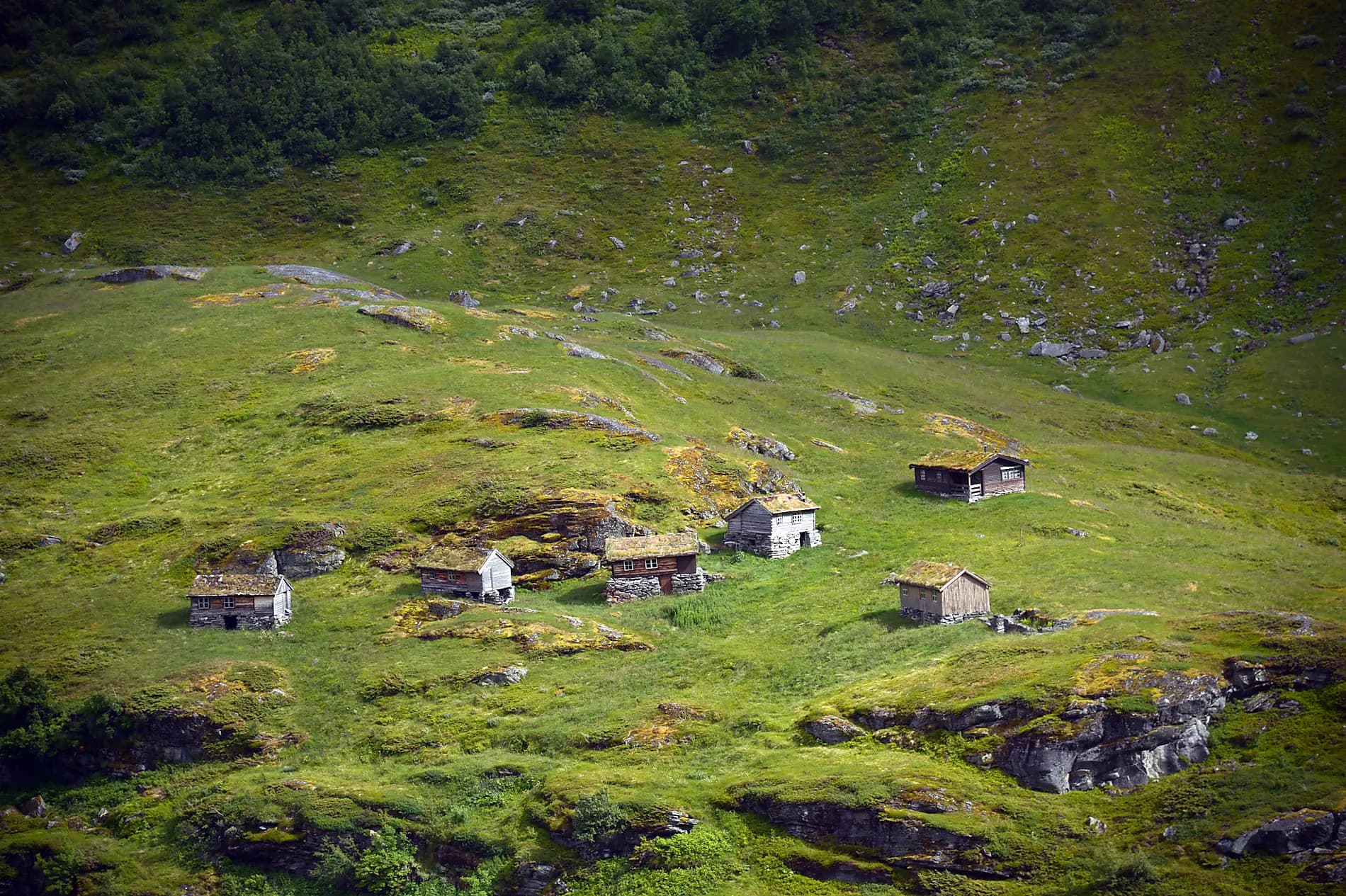 Norwegian fjords 