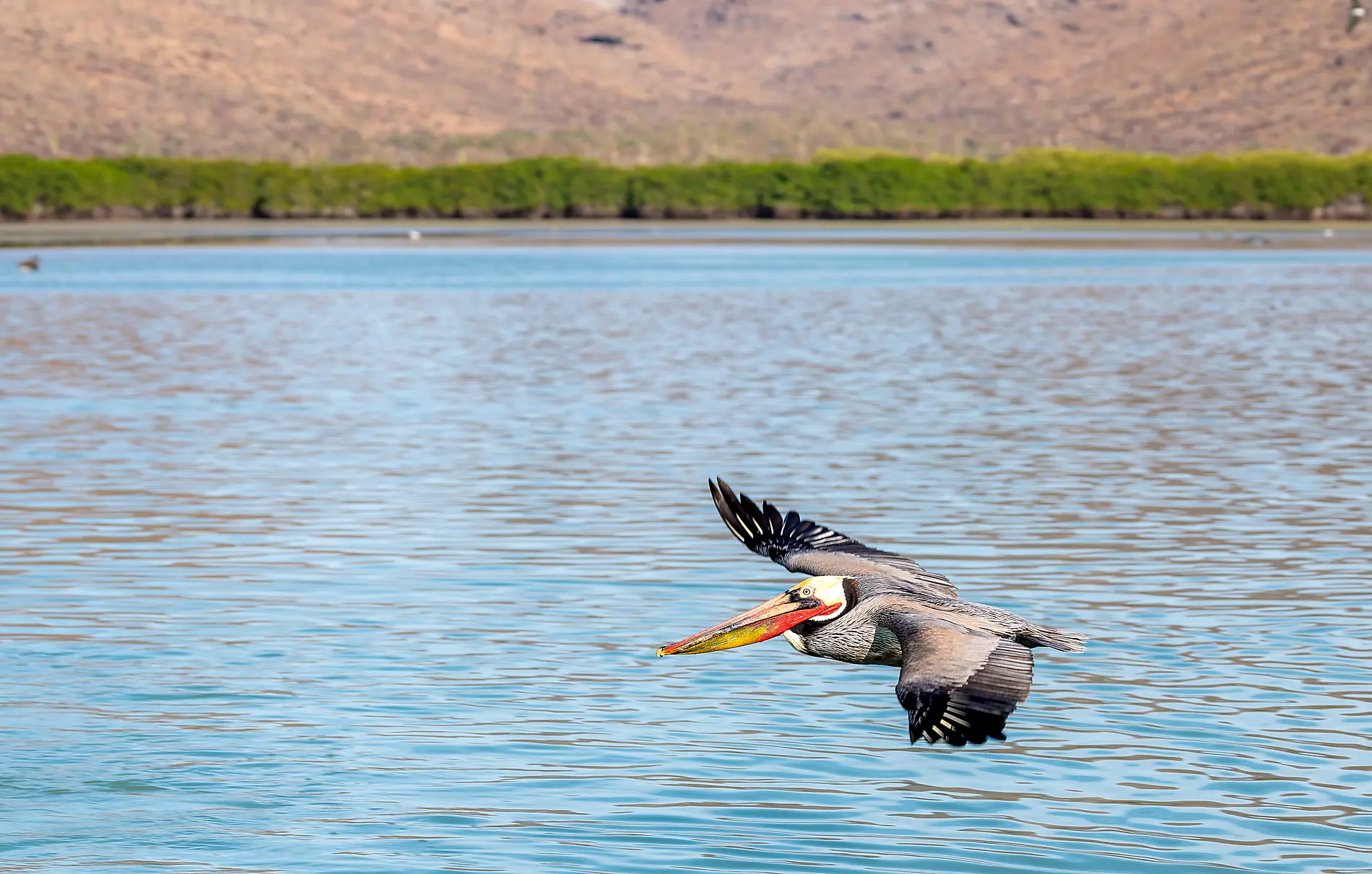 Exploration in the Heart of Baja California 