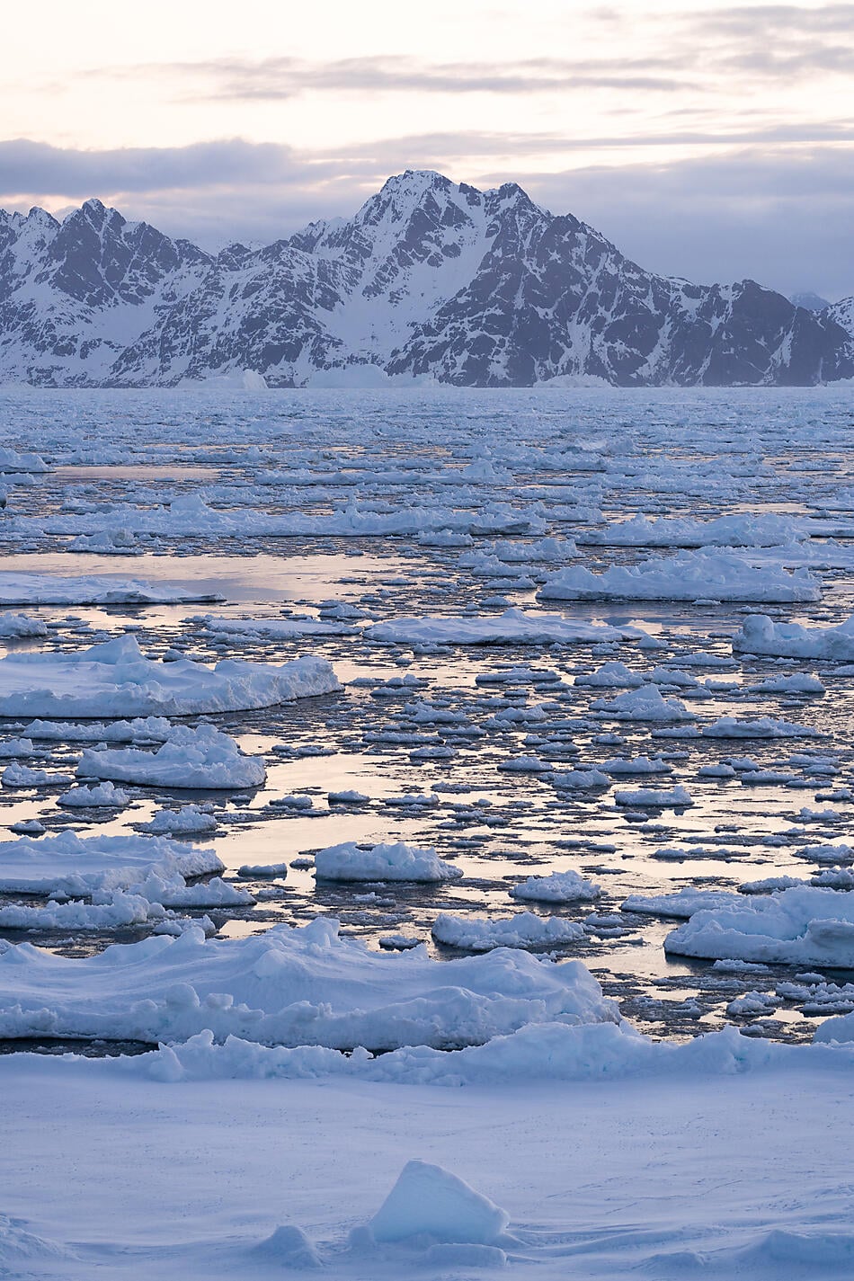 N-0093_O300422_Reykjavik-Reykjavik©StudioPONANT_Morgane Monneret.jpg