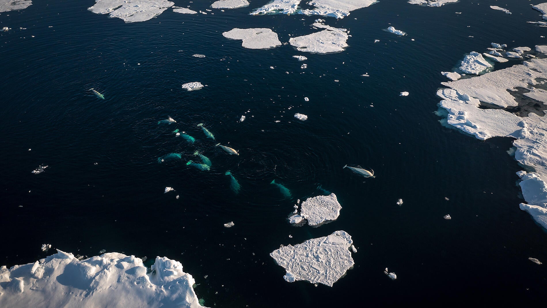 Beyond the inhabited world