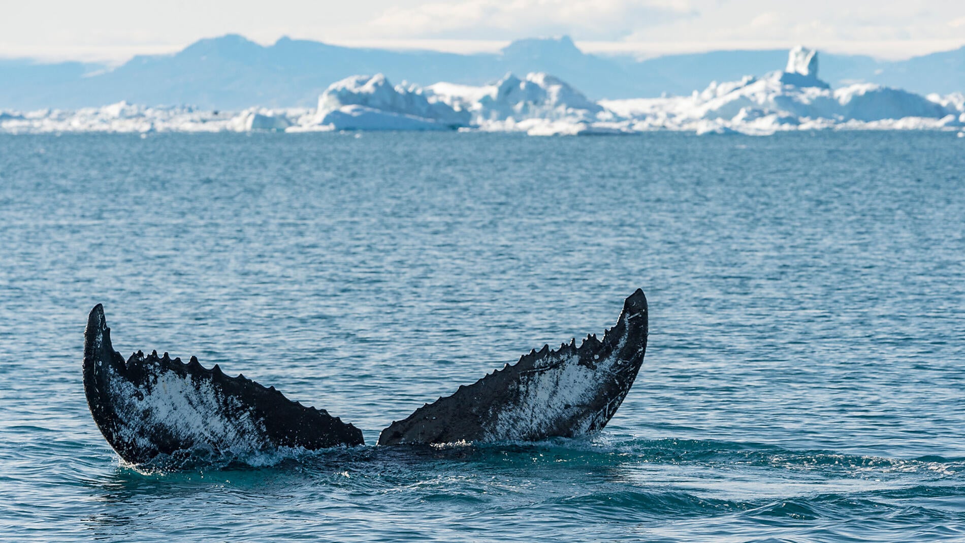 In the heart of the Northwest Passage