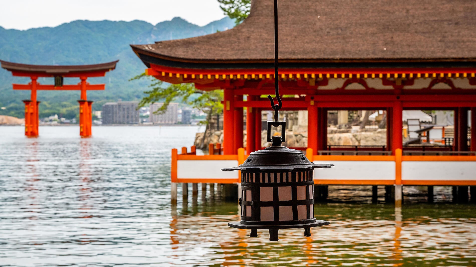 Authentic Japan