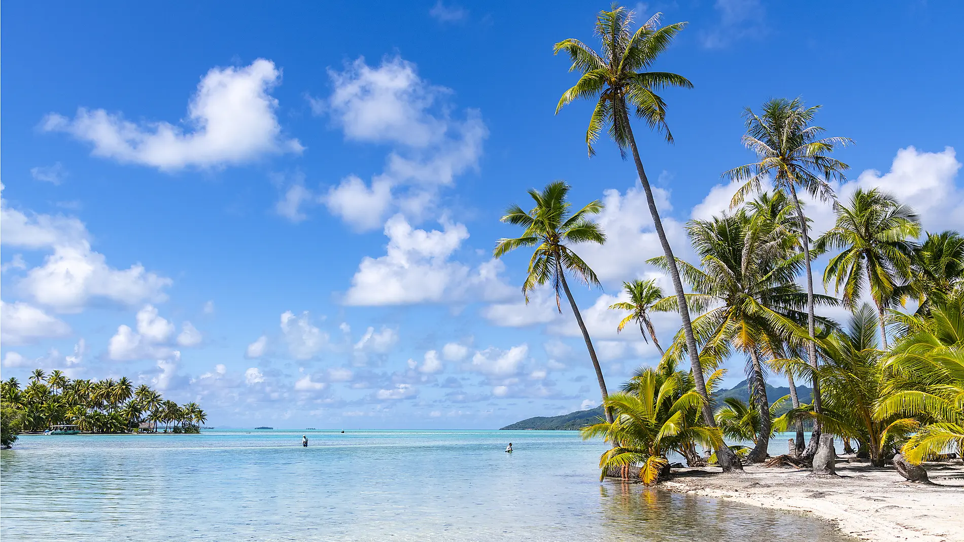 Marquesas, The Tuamotus & Society Islands