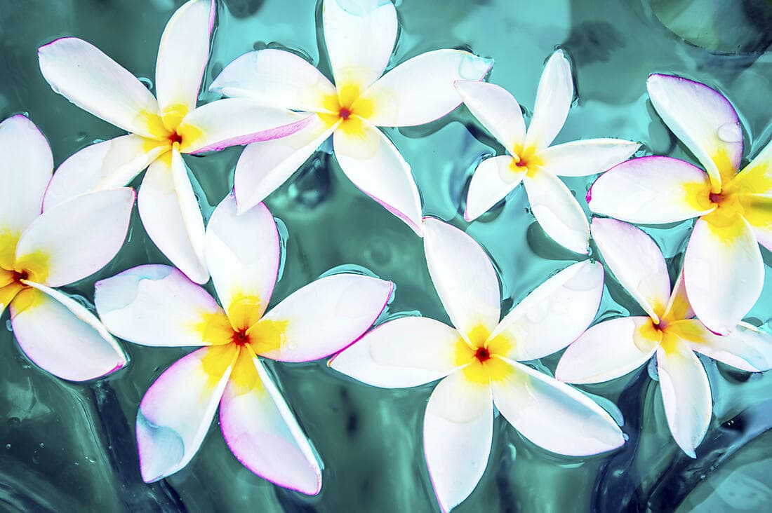 Tahitian relaxation (1 night)