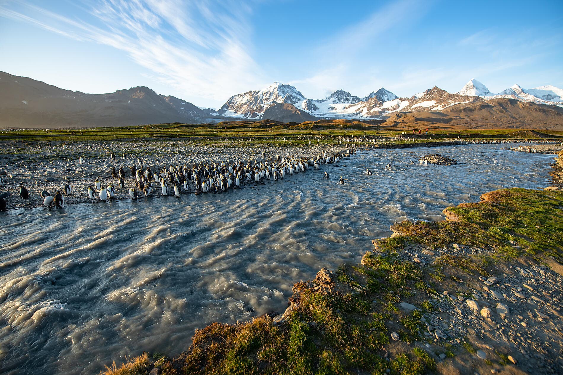 The Great Austral Loop