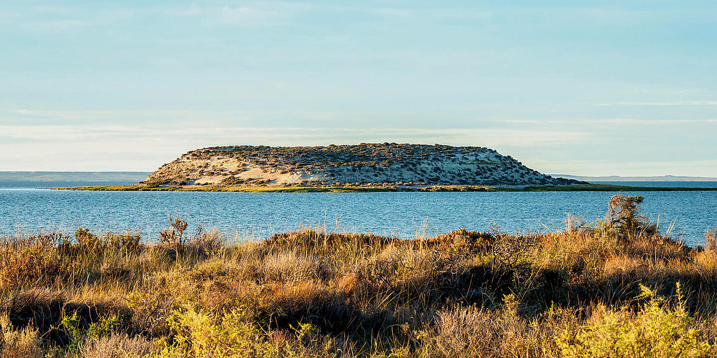 Falklands, South Georgia & Valdes Peninsula: in the Heart of the Wilderness Falklands, South Georgia & Valdes Peninsula: in the Heart of the Wilderness