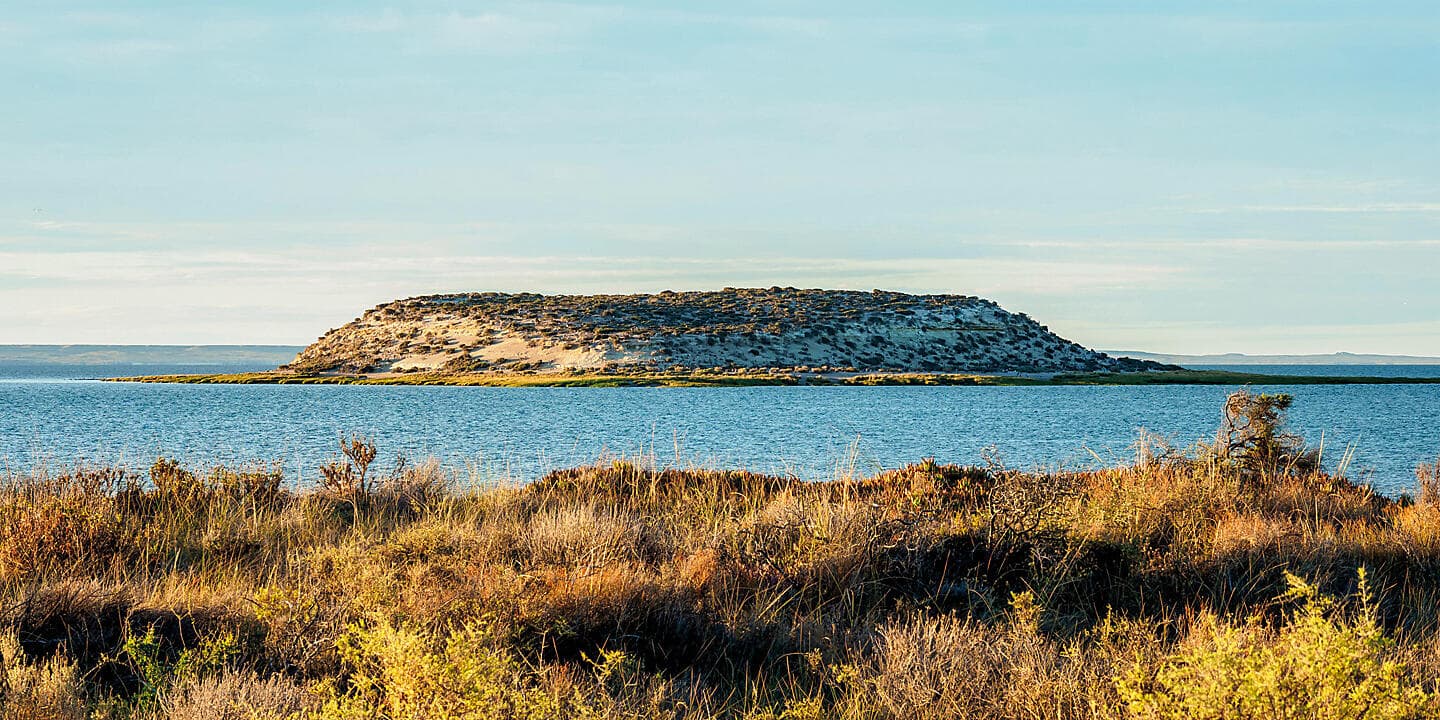 Falklands, South Georgia & Valdes Peninsula: in the Heart of the Wilderness