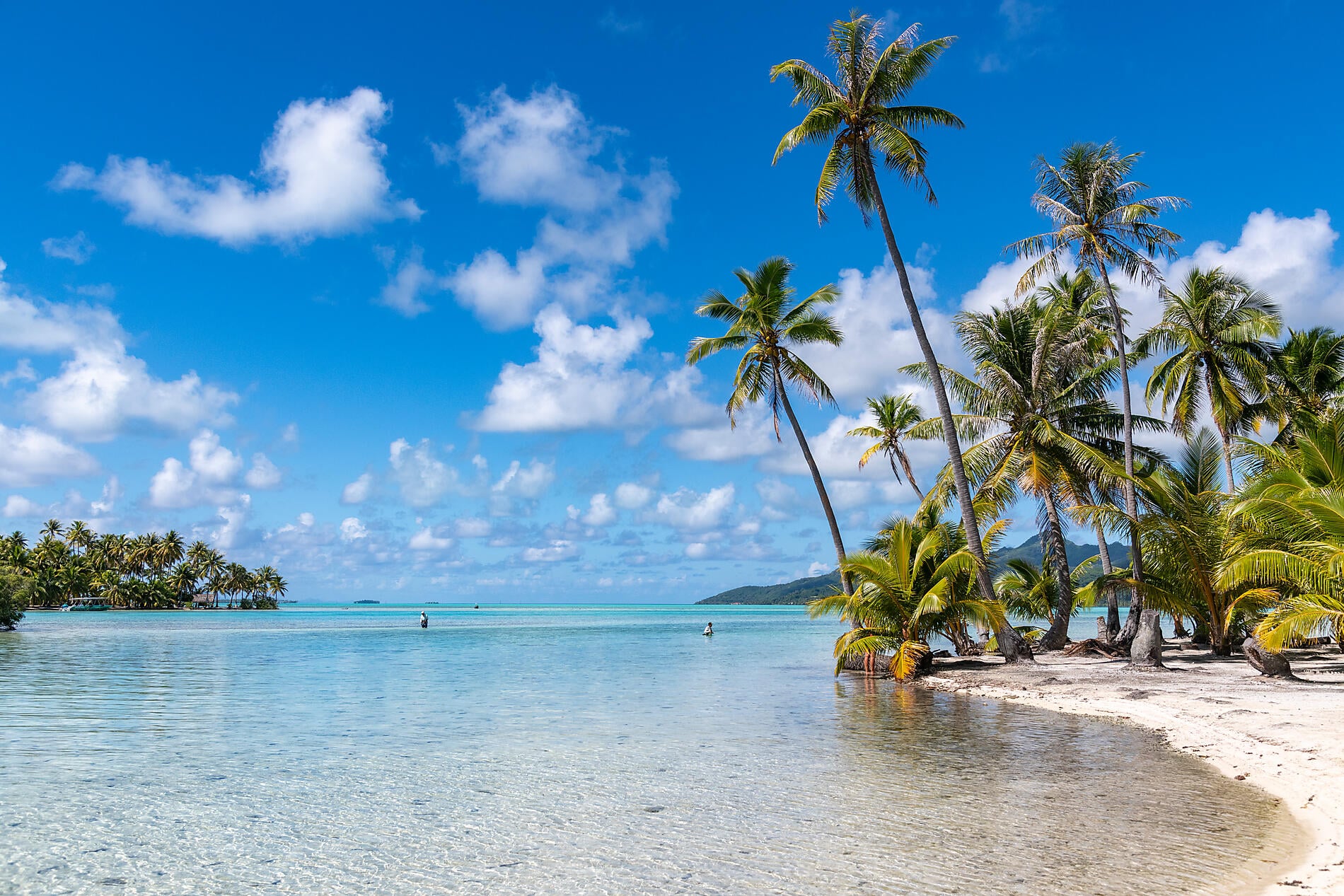 Marquesas, The Tuamotus & Society Islands Marquesas, The Tuamotus & Society Islands