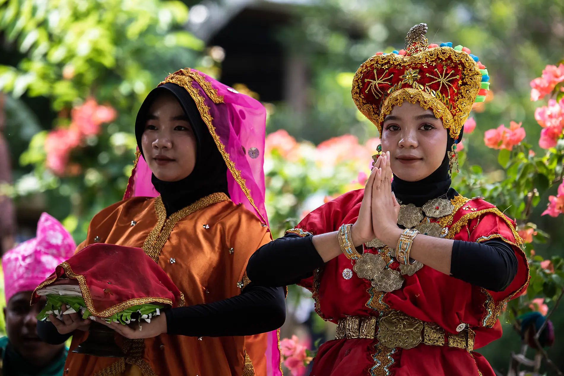 Wild Lands of Indonesia