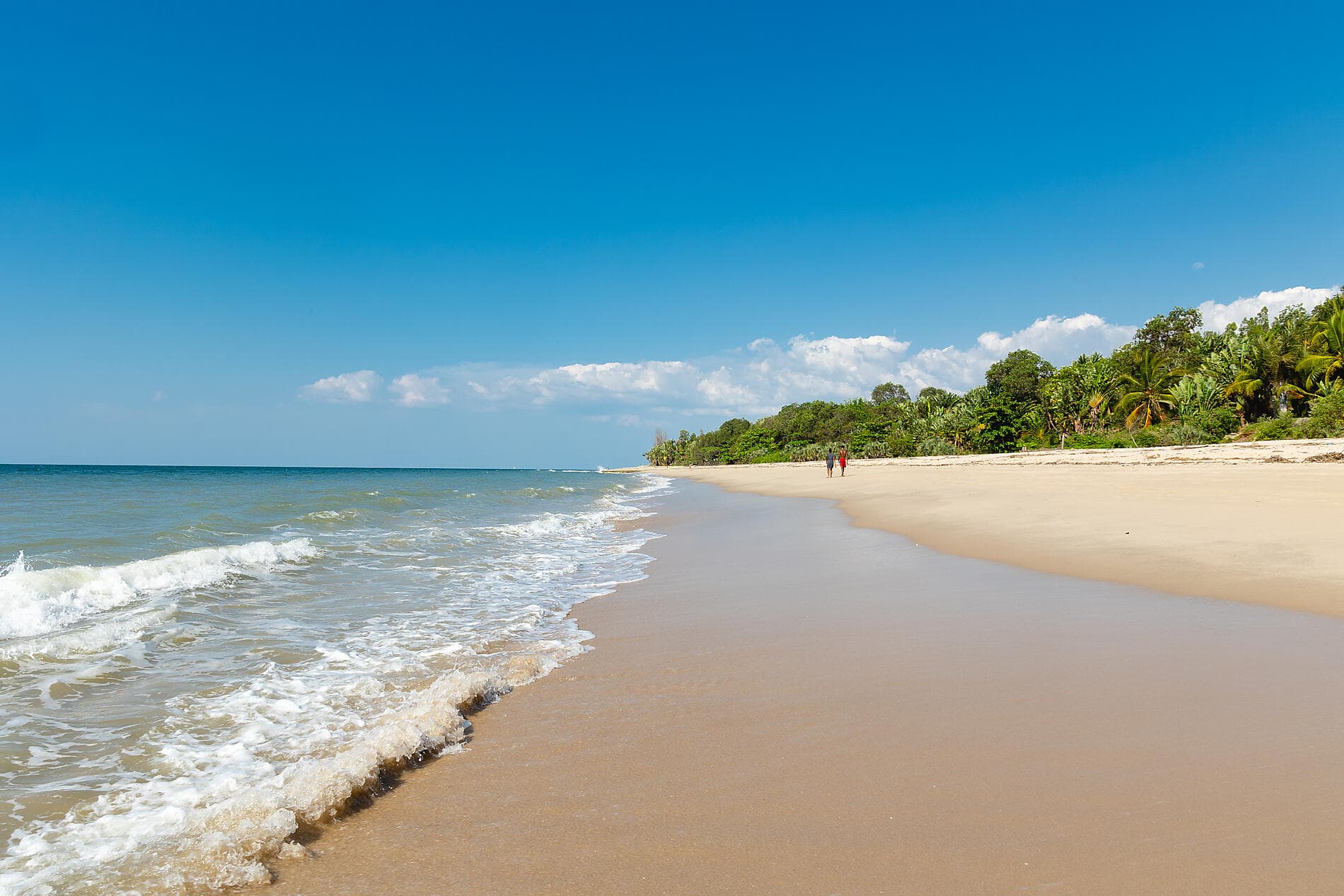 Jewels of Madagascar