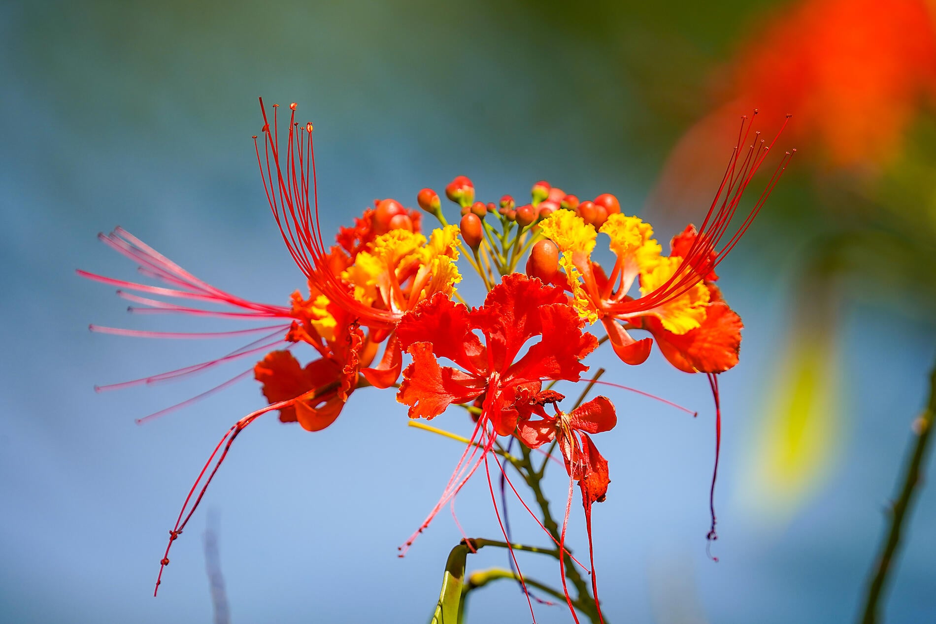 History and culture visiting Caribbean jewels History and culture visiting Caribbean jewels