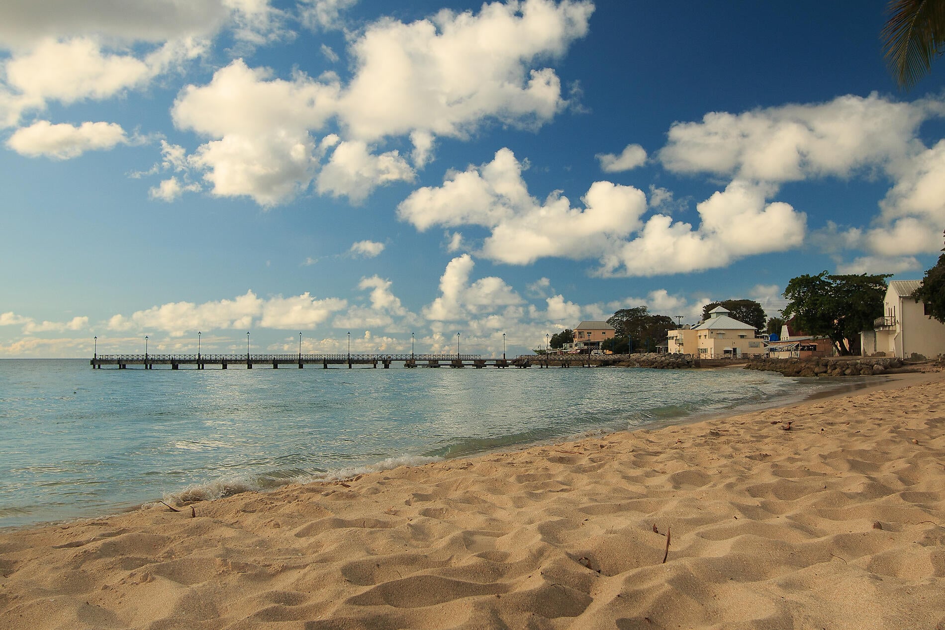 iStock-1368576306.jpg