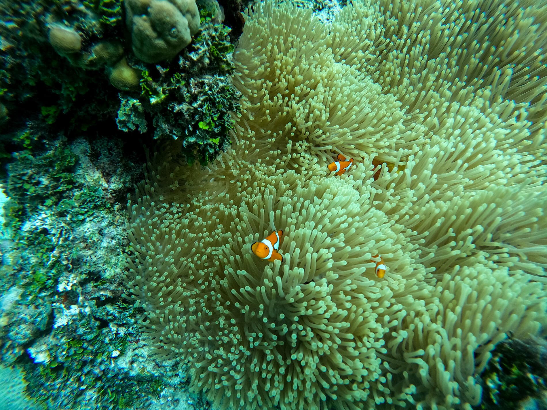 An escapade in the heart of Melanesia