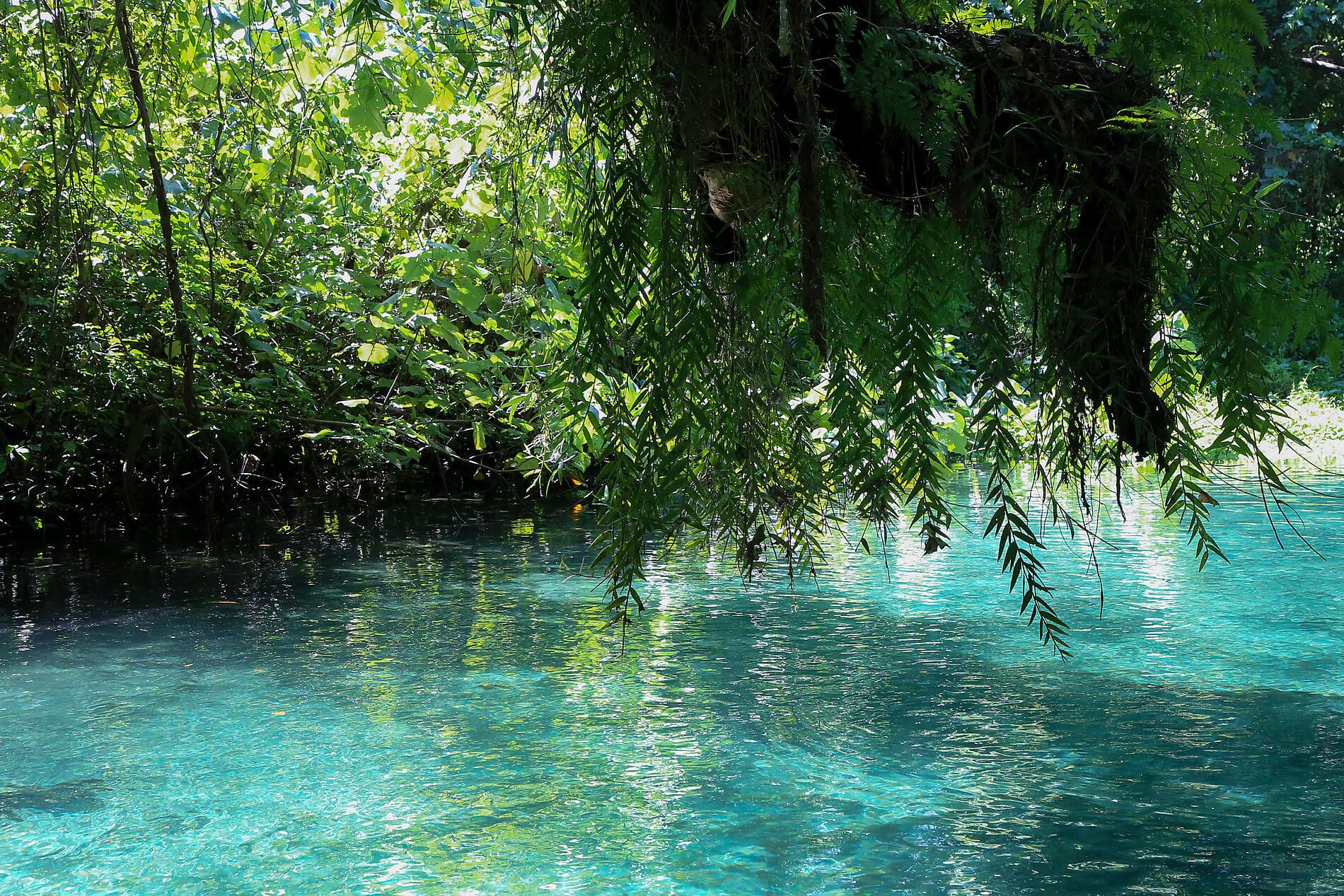 An escapade in the heart of Melanesia