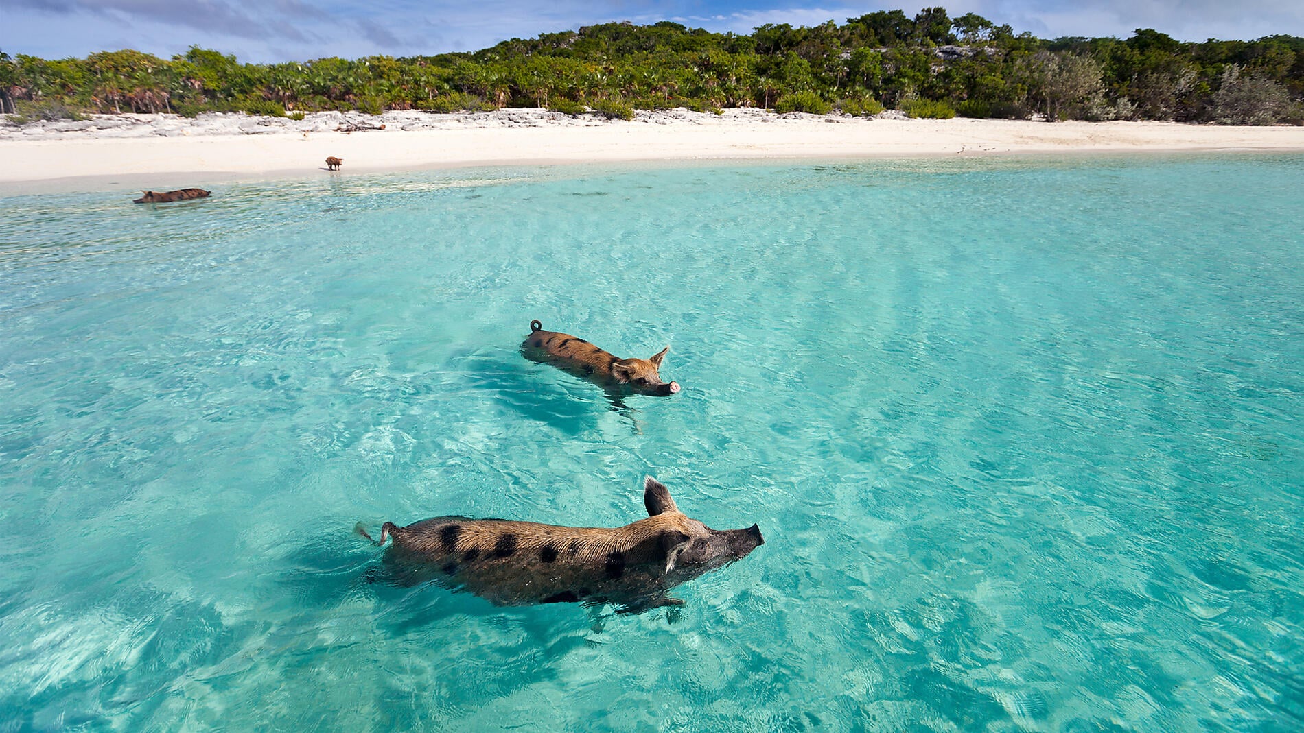 Jewels of the northern Caribbean Jewels of the northern Caribbean