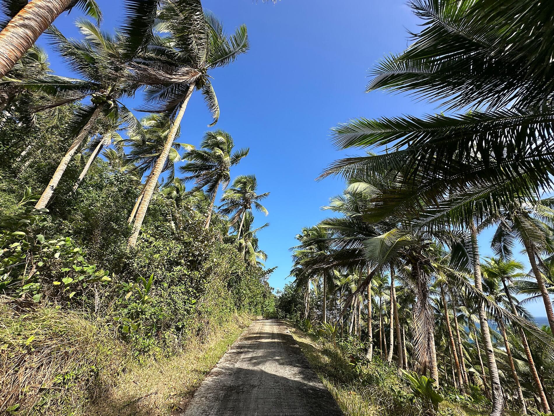 Wild islands and Philippine horizons