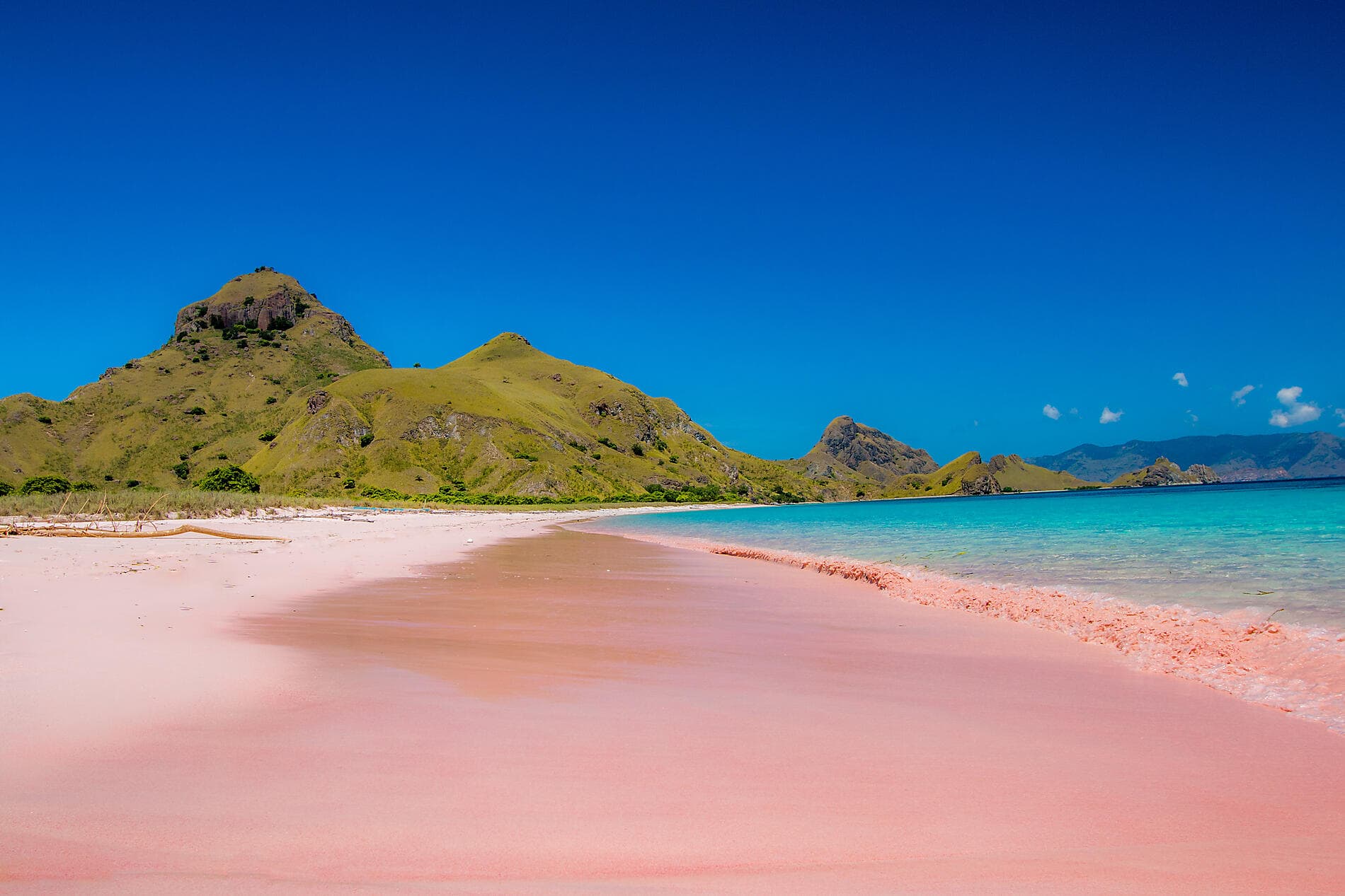 Voyage to Indonesia: Dragons, Reefs, and the Spice Islands – with Smithsonian Journeys
