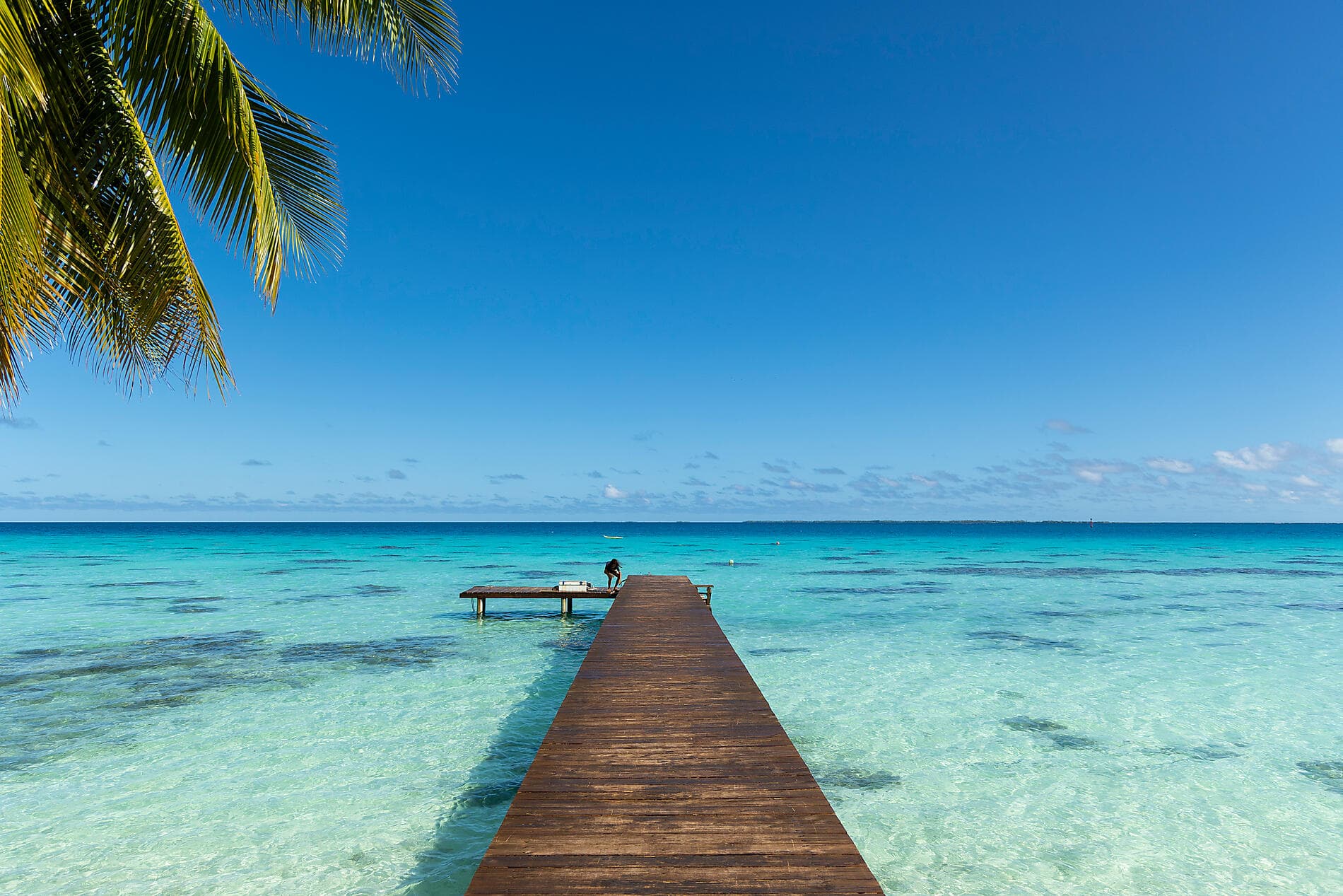Polynesian Bliss : Marquesas and Tuamotu