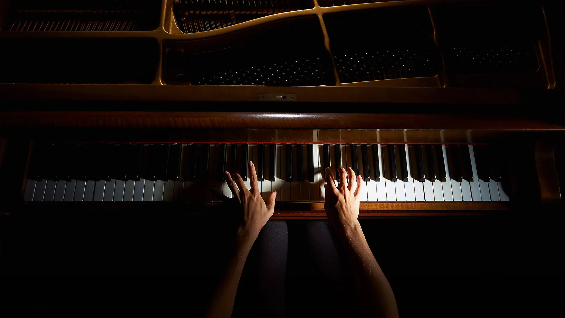 Waves & Melodies: 12th Piano Festival at Sea Waves & Melodies: 12th Piano Festival at Sea