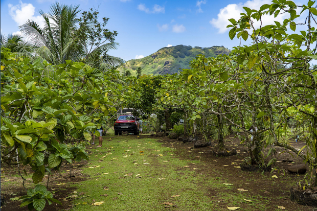 _PAU210925_Huahine©StudioPONANT-Damien DecaixNo-2214.jpg