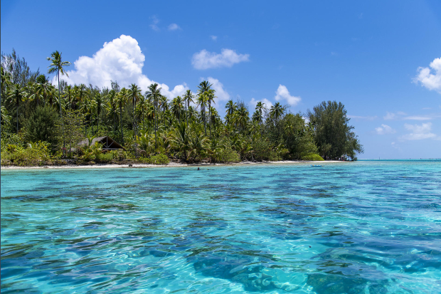 No-2252_N061021_PAPEETE-MOOREA©StudioPONANT-GAUGUIN-Damien DECAIX.jpg